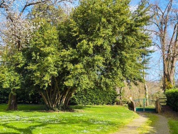 Propriété équestre de standing – Installations haut de gamme – 5 ha – Un bien rare offrant des infrastructures professionnelles, une maison confortable et un environnement priviligé à MOISSAC (82)