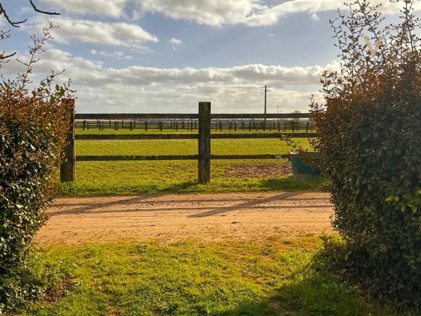 Propriété équestre de standing – Installations haut de gamme – 5 ha – Un bien rare offrant des infrastructures professionnelles, une maison confortable et un environnement priviligé à MOISSAC (82)