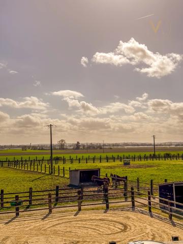 Propriété équestre de standing – Installations haut de gamme – 5 ha – Un bien rare offrant des infrastructures professionnelles, une maison confortable et un environnement priviligé à MOISSAC (82)