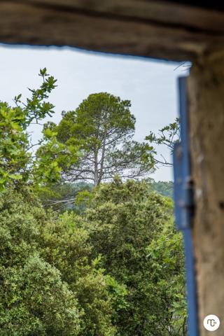 Vente Villa 4 pièces 115 m2 à Barjols