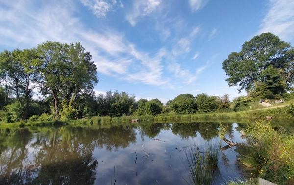 Vente Maison ref.7234 campagne étang Courcite   