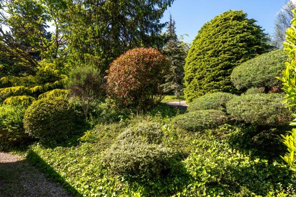St Cyr-Au-Mont-D'Or - Maison de 220 m² environ - Terrain de 5000 m² - 4 Chambres - Piscine