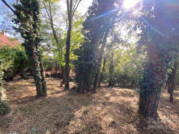 3%COM Maison à rénover sur 7 ares au centre de Hochfelden Hochfelden (67270)