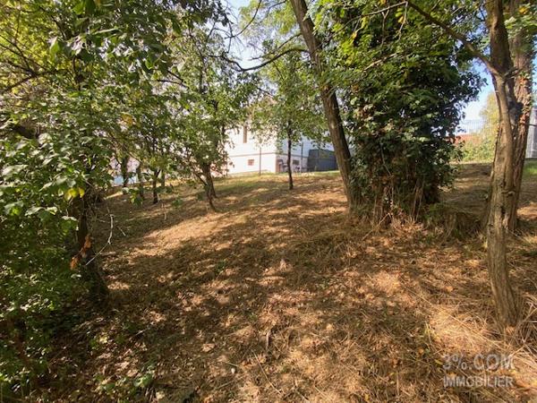 3%COM Maison à rénover sur 7 ares au centre de Hochfelden Hochfelden (67270)