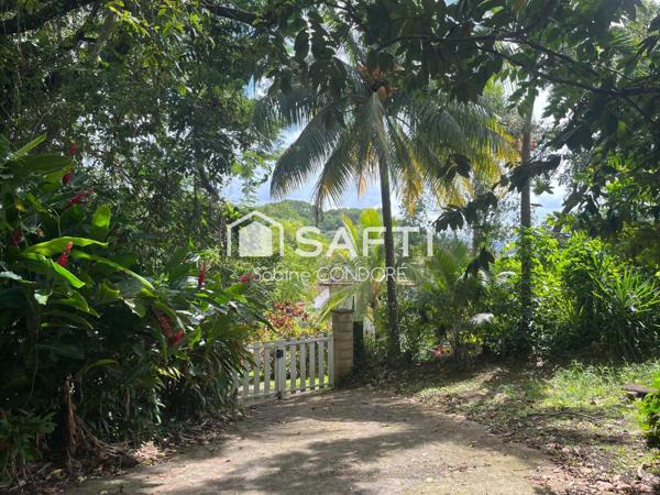 Saint-Joseph 97212 - Grande propriété composée de 4 appartements