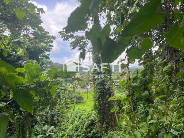 Saint-Joseph 97212 - Grande propriété composée de 4 appartements