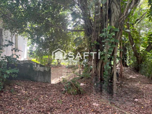 Saint-Joseph 97212 - Grande propriété composée de 4 appartements