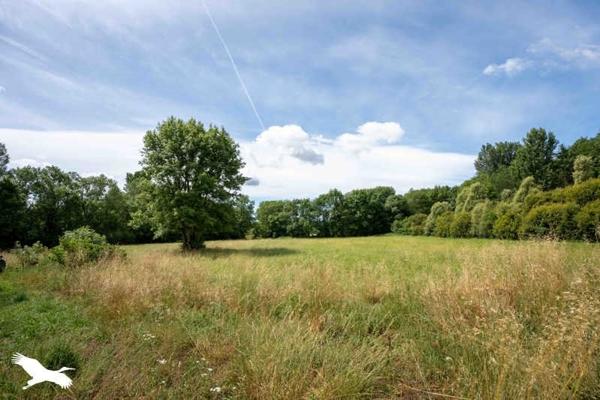 Maison à vendre 175 000 € Saint-Bonnet-sur-Gironde 6 p 170 m² DPE E
