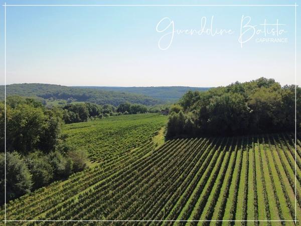 Maison de caractère au cœur de la nature 217 m² - Terrain 2,43Ha - Piscine au sel 10x5