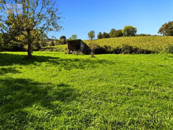 Maison 284 m2 à vendre 9 pièces ORTHEZ (64)Maison de caractère rénovée avec soin – Année 1850