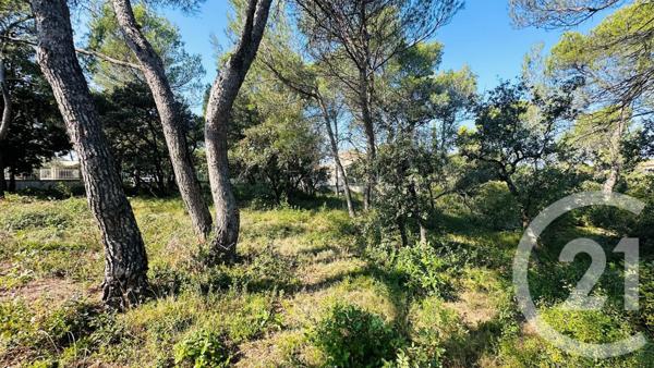 Terrain à vendre  2117 m2 CAVAILLON - 84