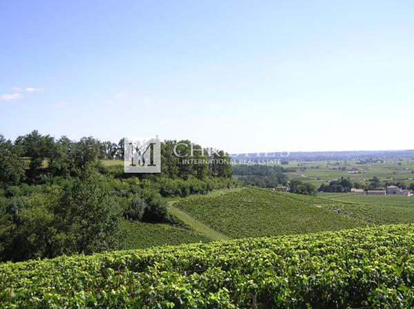 Ensemble immobilier à rénover au coeur de Saint-Emilion