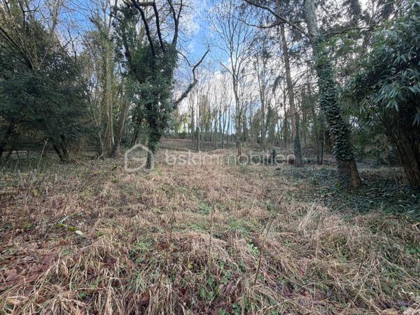 Maison de ville de 77 m²