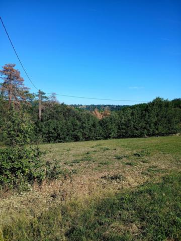 Terrain
        
        - 1558 m² 44 000 € *