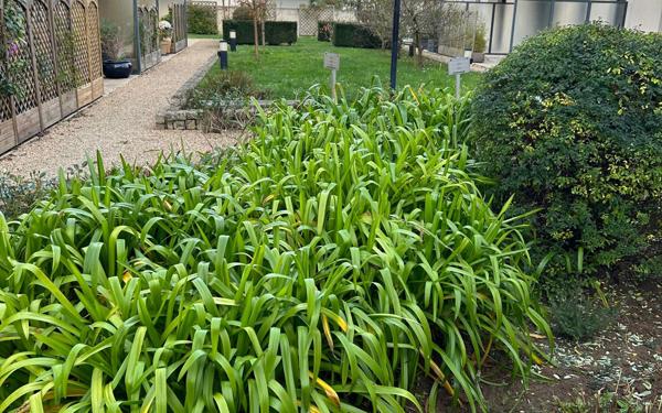 Appartement à vendre    2 pièces •  Perros-Guirec