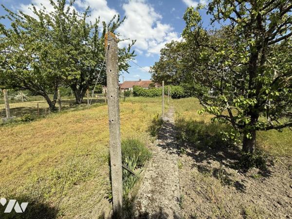 ✨BAISSE DE PRIX✨