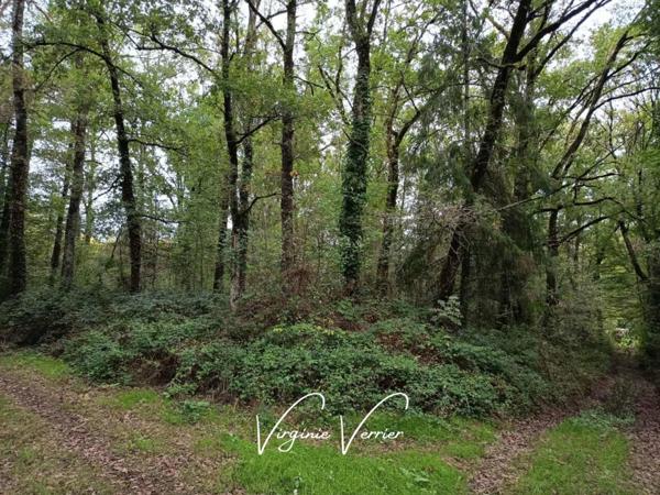 Maison à vendre 7 pièces de 100 m²