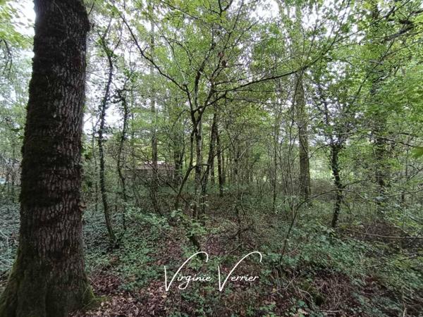 Maison à vendre 7 pièces de 100 m²