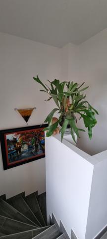 Vouneuil-sous-Biard (86580) MAISON CONTEMPORAINE 3 CHAMBRES - DOMOTIQUE - SPA