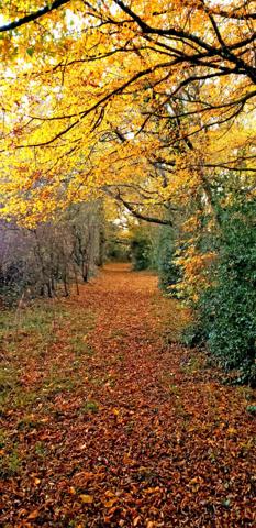 Longère sur 1,8 hectares