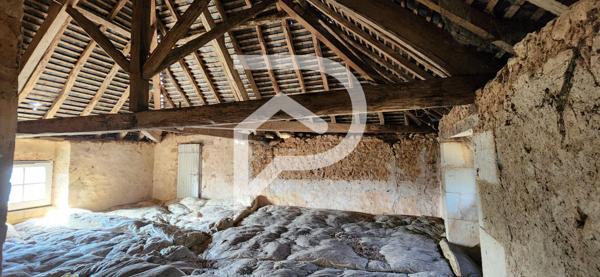 VIVONNE - MANOIR - PAVILLON DE CHASSE - CHARME - GRAND TERRAIN