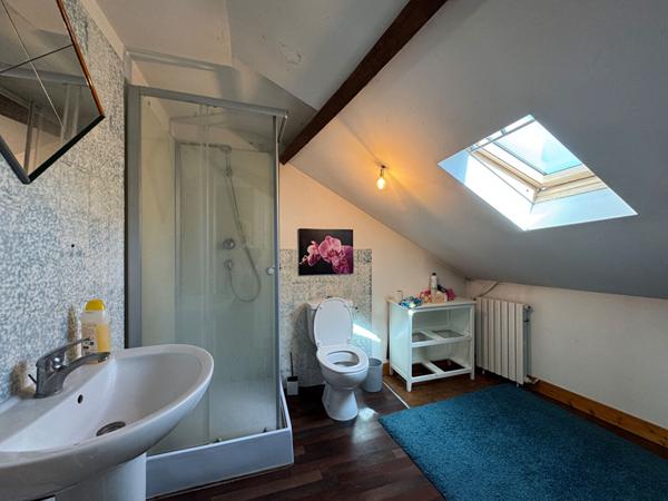 A vendre, centre ville de Perigueux (24000), belle maison bourgeoise type 9 avec jardin