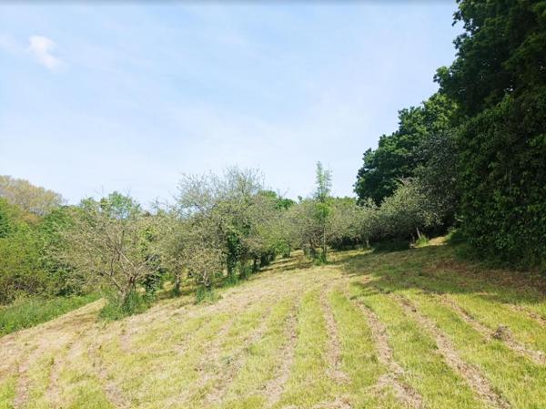 29600 Morlaix Ancienne minoterie  et sa maison familiale 4 chambres sur 11 000 m² au calme
