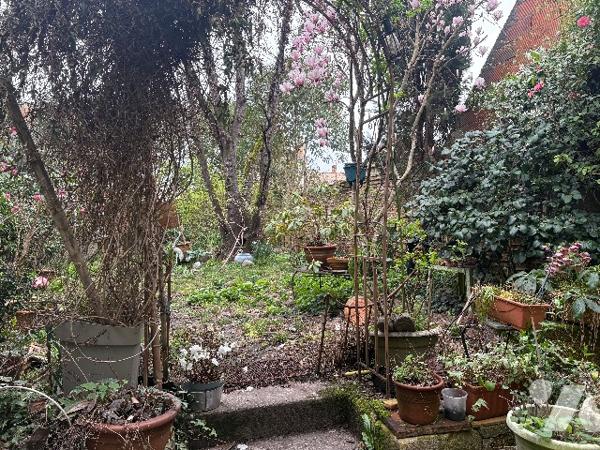 Marmande - Maison de ville en pierre , à pied de l' "hypercentre", aux volumes généreux, avec jardin