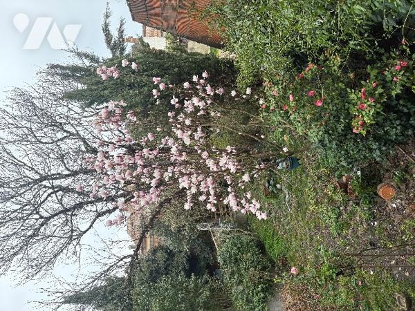Marmande - Maison de ville en pierre , à pied de l' "hypercentre", aux volumes généreux, avec jardin