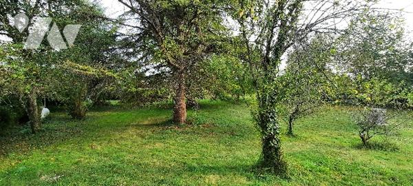Maison à rénover dans hameau. 3 pièces, dépendances. Sur jardin de plus de 4000m²