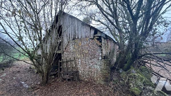 Une maison en ruines