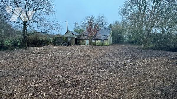 Une maison en ruines