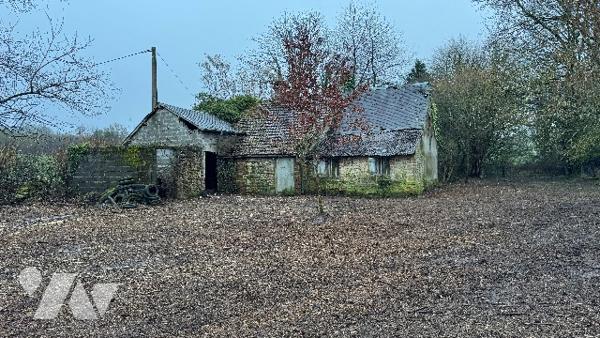 Une maison en ruines