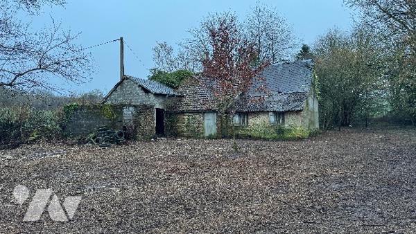 Une maison en ruines