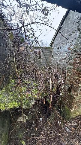Une maison en ruines