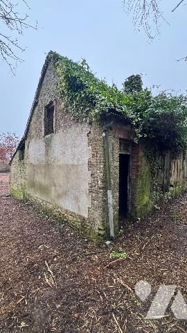 Une maison en ruines