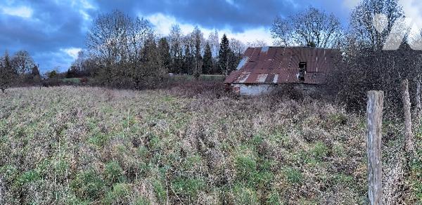 Une maison en ruines