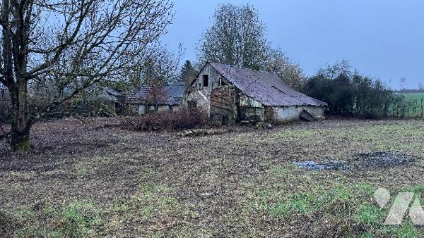 Une maison en ruines