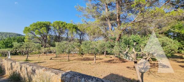 Terrain 952 m2