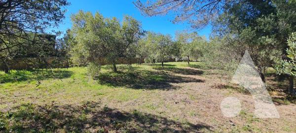 Terrain 952 m2