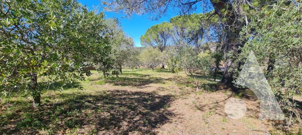 Terrain 952 m2