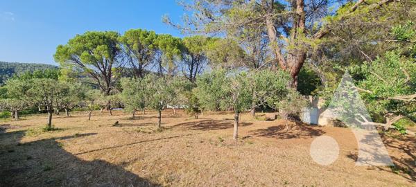 Terrain 952 m2