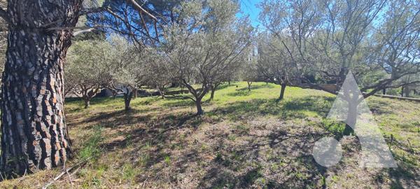 Terrain 952 m2