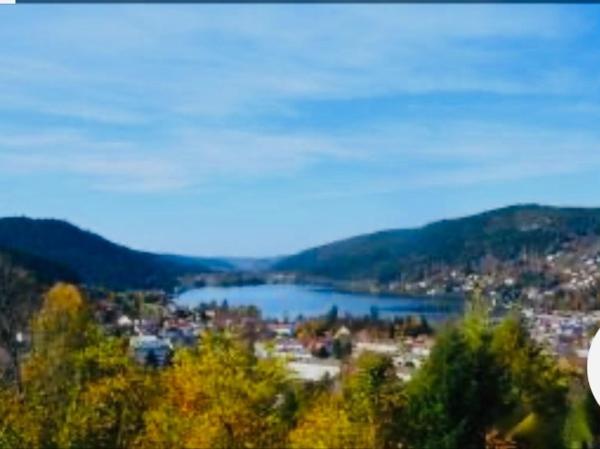 Gîte vue exceptionnelle sur le lac de Gérardmer