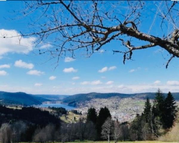 Gîte vue exceptionnelle sur le lac de Gérardmer