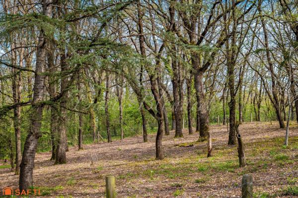 Villa 150m2 - Piscine - Parc 5500m2