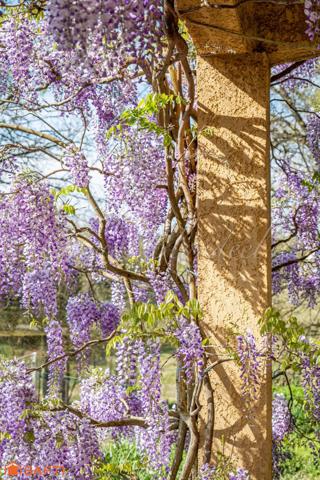 Villa 150m2 - Piscine - Parc 5500m2