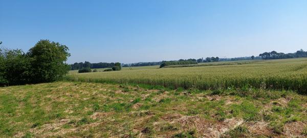 Terrain avec bâti en parpaings