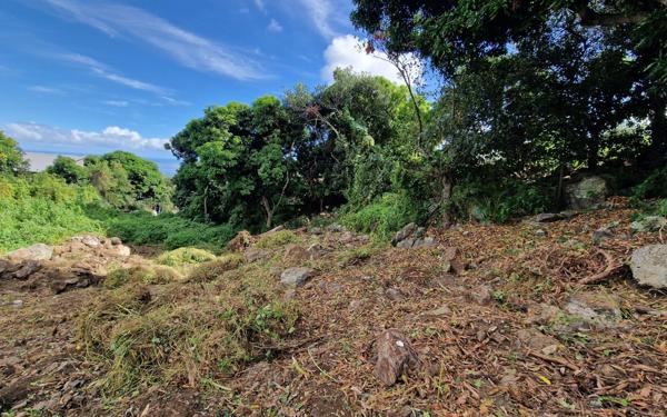 Terrain à vendre    Saint-Paul