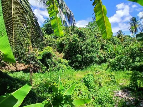 Vente                                                      Terrain
                        
                                         2000 m2                     à La Trinité